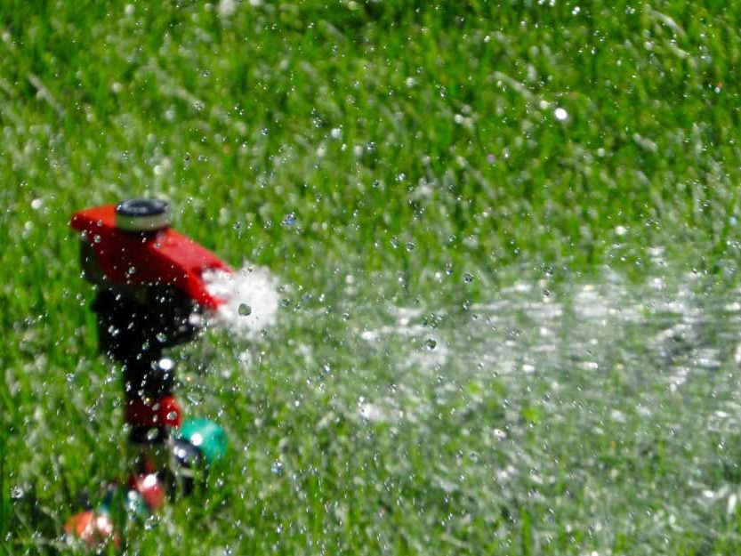 Aménagement extérieur arrosage automatique - Or Paysage