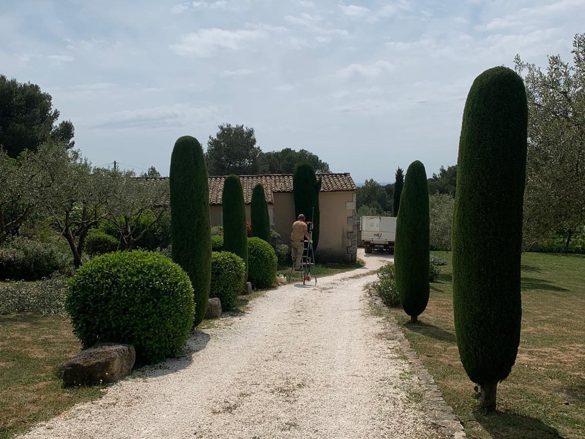 Taille et entretien de parc à Uzès par Or Paysage